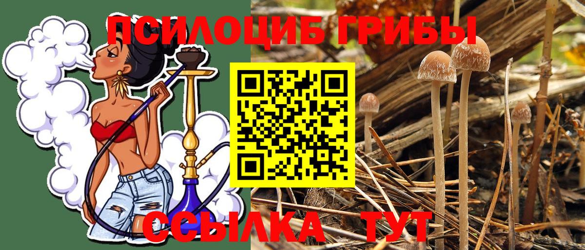 Еманжелинск  Галлюциногенные грибы Psilocybe  Псилоцибиновые грибы мухоморы  Вход с VPN 