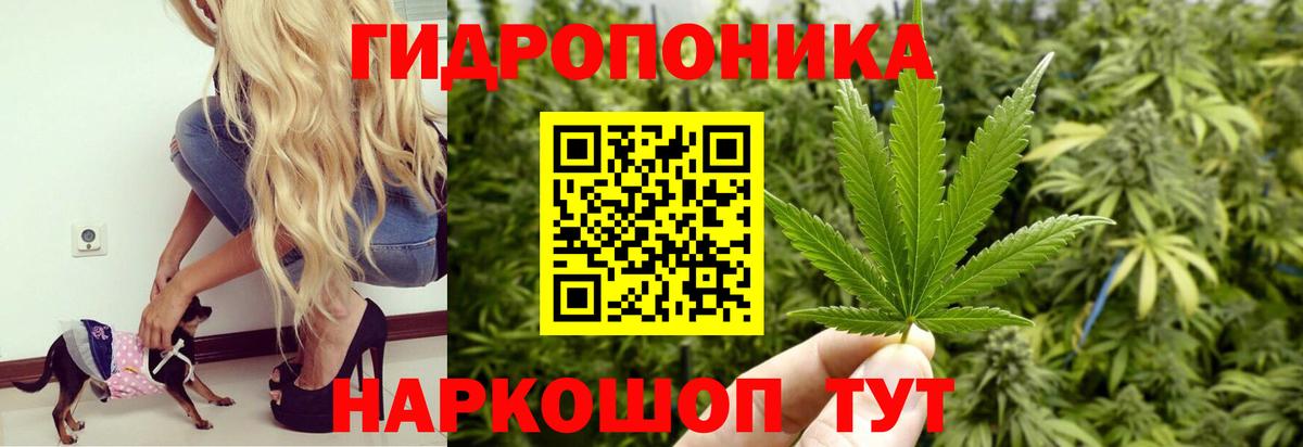 Бошки марихуана Amnesia  Шишки марихуана конопля  Вход с VPN  МАРИХУАНА VHQ  Канабис Bruce Banner  Еманжелинск 